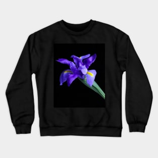 Purple Iris Crewneck Sweatshirt